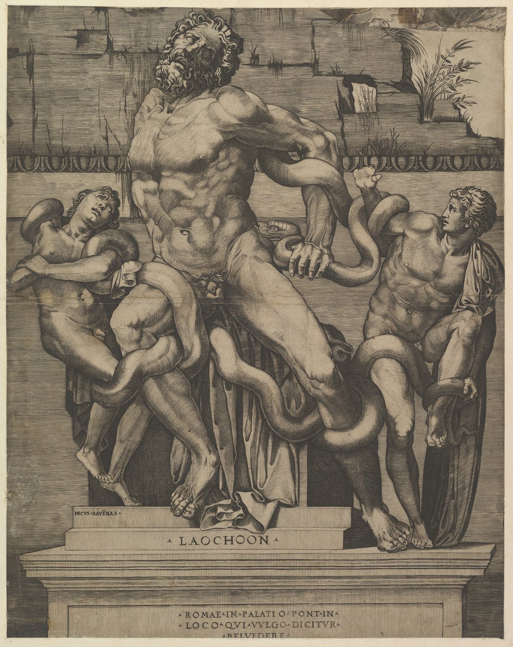 Roomalaisen loiston peili: Laocoon, 1500-luku. tekijältä Marco Dente