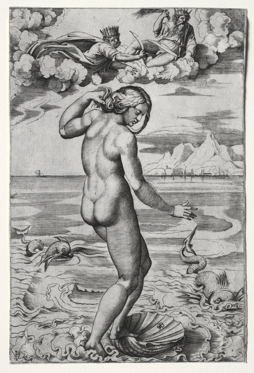 Venuksen syntymä, n. 1516. tekijältä Marco Dente