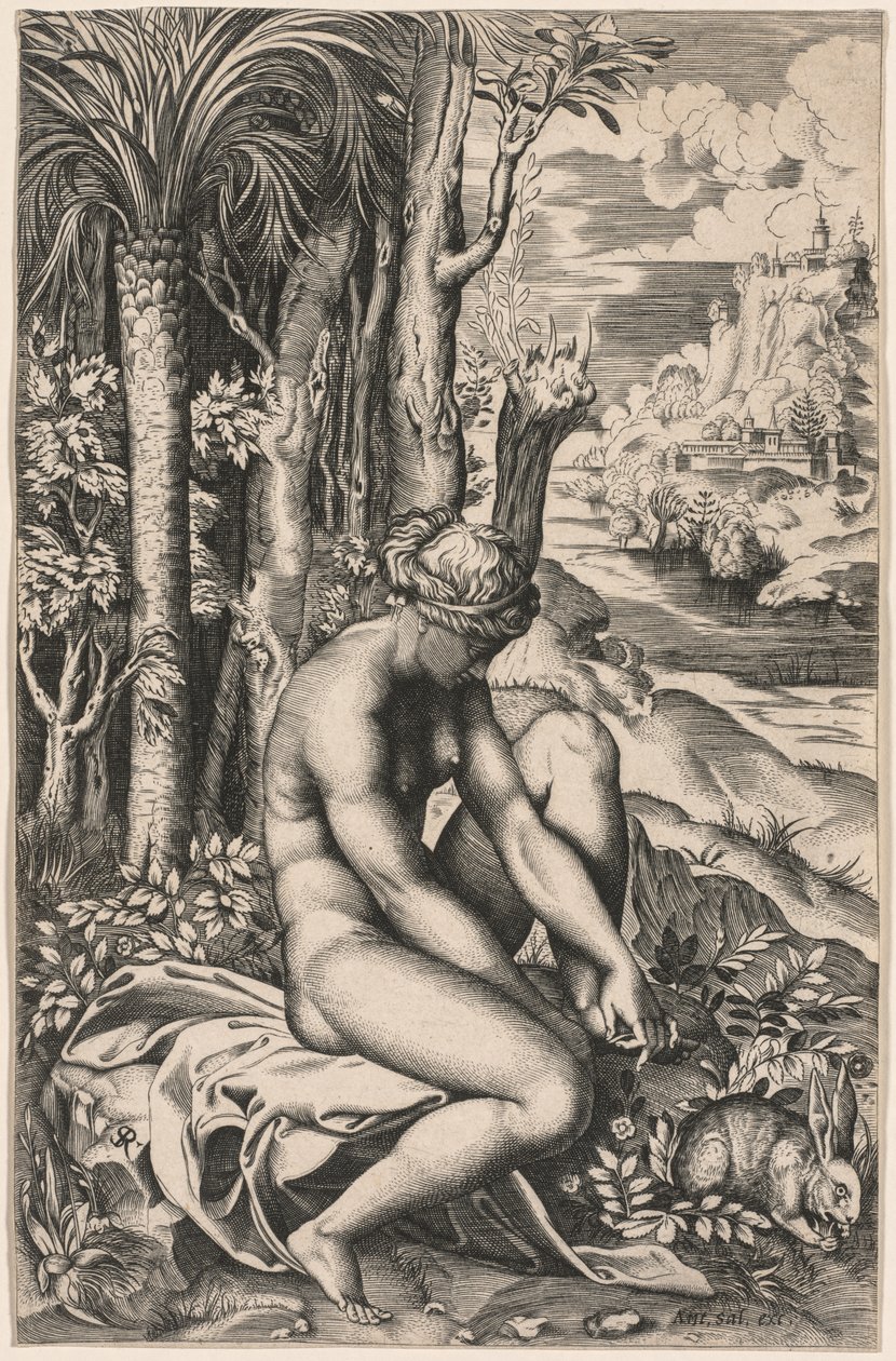 Ruusunpiippujen haavoittama Venus, n. 1516. tekijältä Marco Dente