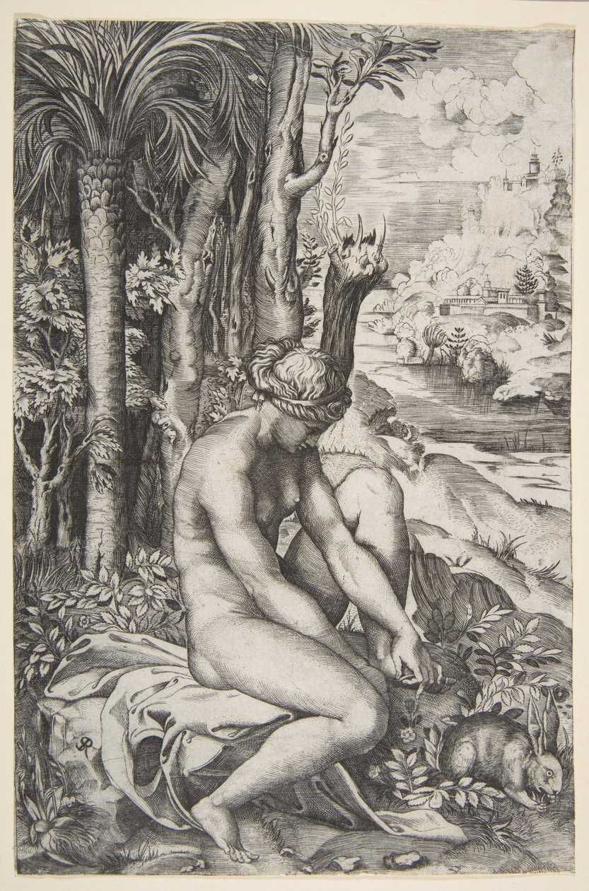 Venus poistaa piikkia vasemmasta jalastaan istuessaan kankaalla puiden vieressä, ..., n. 1515-27. tekijältä Marco Dente