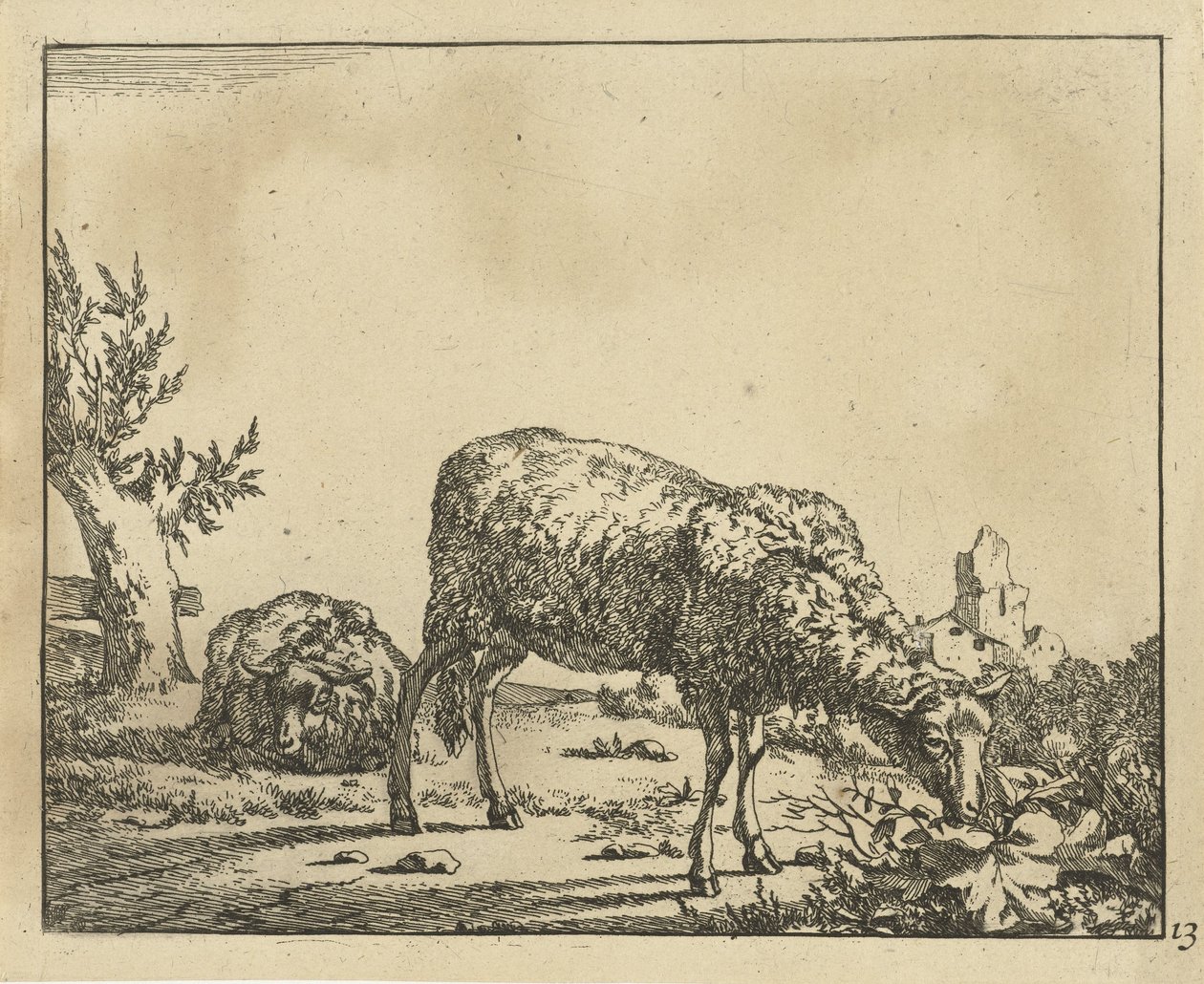 Ovelles pasturant i ovelles ajagudes a la tanca Ovella (títol de la sèrie) acabat tekijältä Marcus de Bye