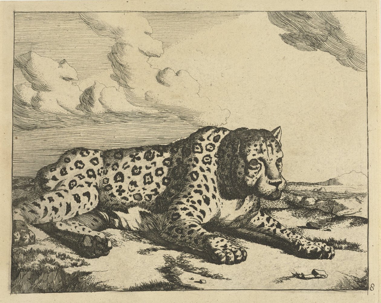 Leopardi makaa oikealla, tassut katsojalle Leopardit (sarjan nimi) tekijältä Marcus de Bye