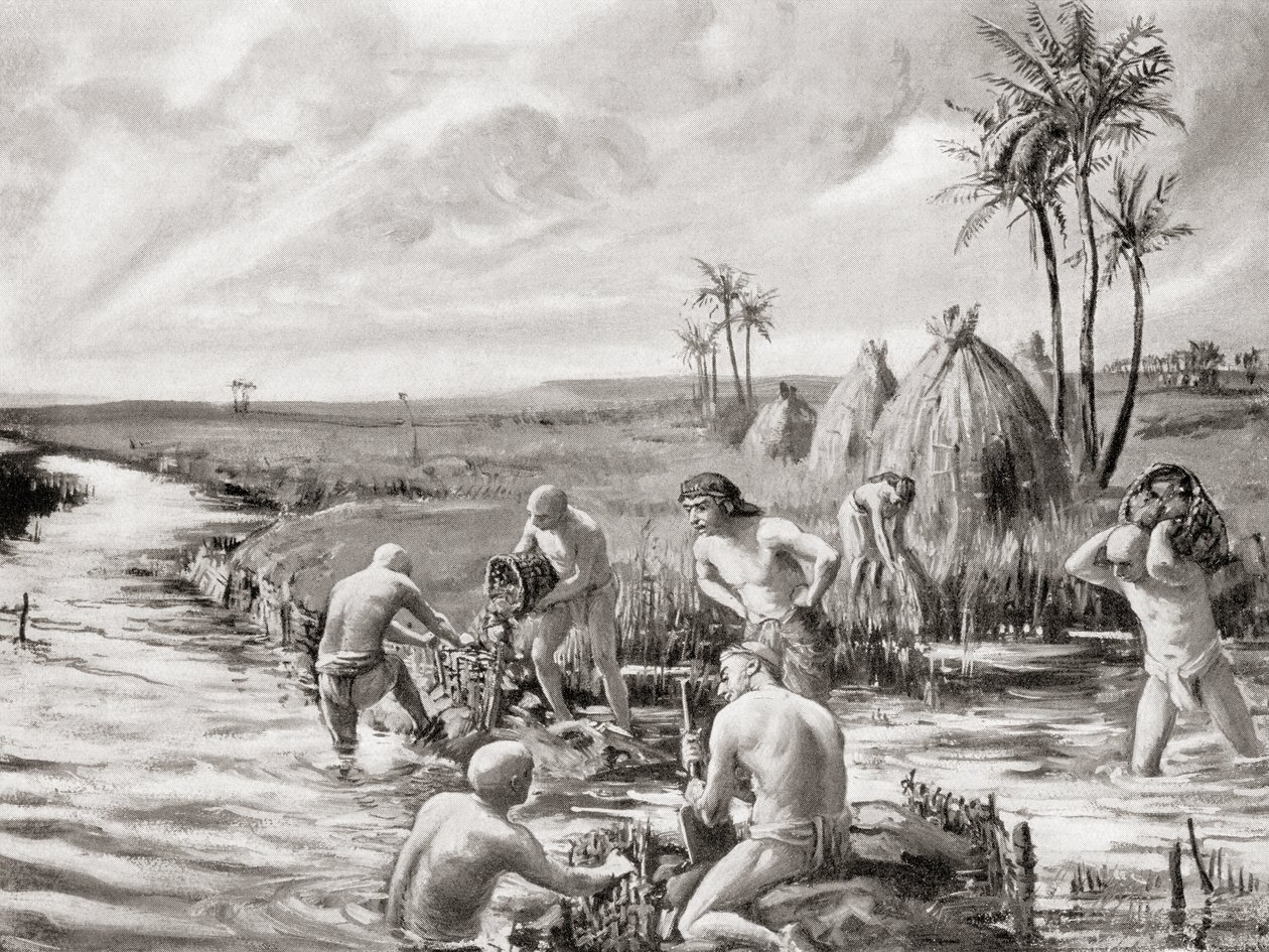Babylonian varhaiset uudisasukkaat kuivattamassa suota rakentamalla padon, Hutchinsonin History of the Nations, pub.1915. tekijältä Margaret (after) Dovaston