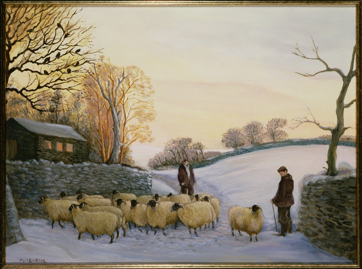 Tulossa kotiin tekijältä Margaret Loxton