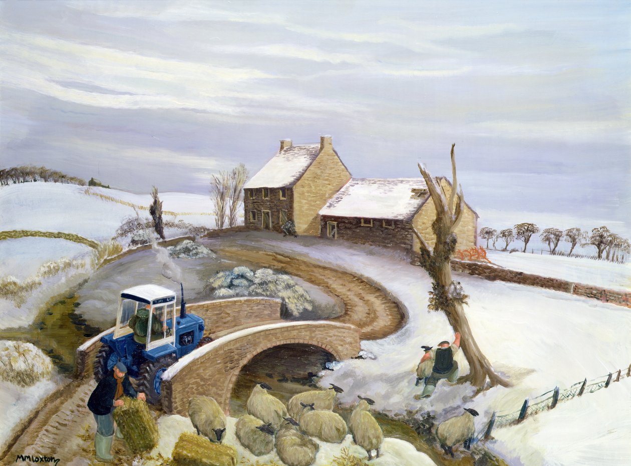 tammikuuta kukkuloilla tekijältä Margaret Loxton
