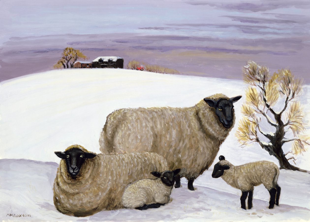 Lampaat talvella tekijältä Margaret Loxton