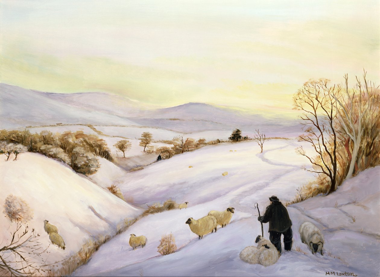 Lampaat harjulla tekijältä Margaret Loxton