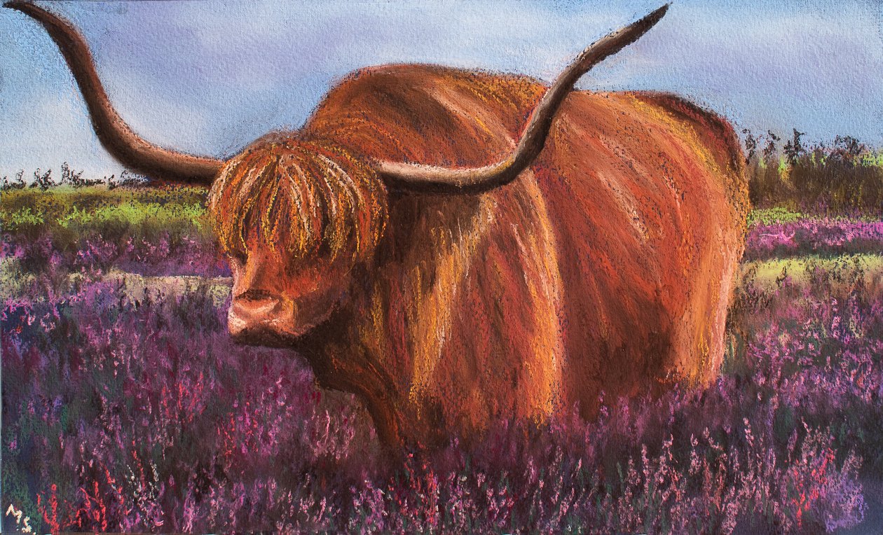 Highland Bull in Scottish Heather, 2018 (pastelli) tekijältä Margo Starkey