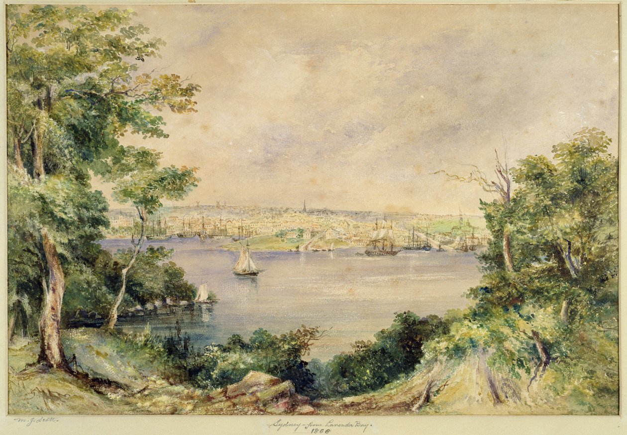 Sydney Lavender Baystä, 1868 (wc) tekijältä Maria Jane Scott