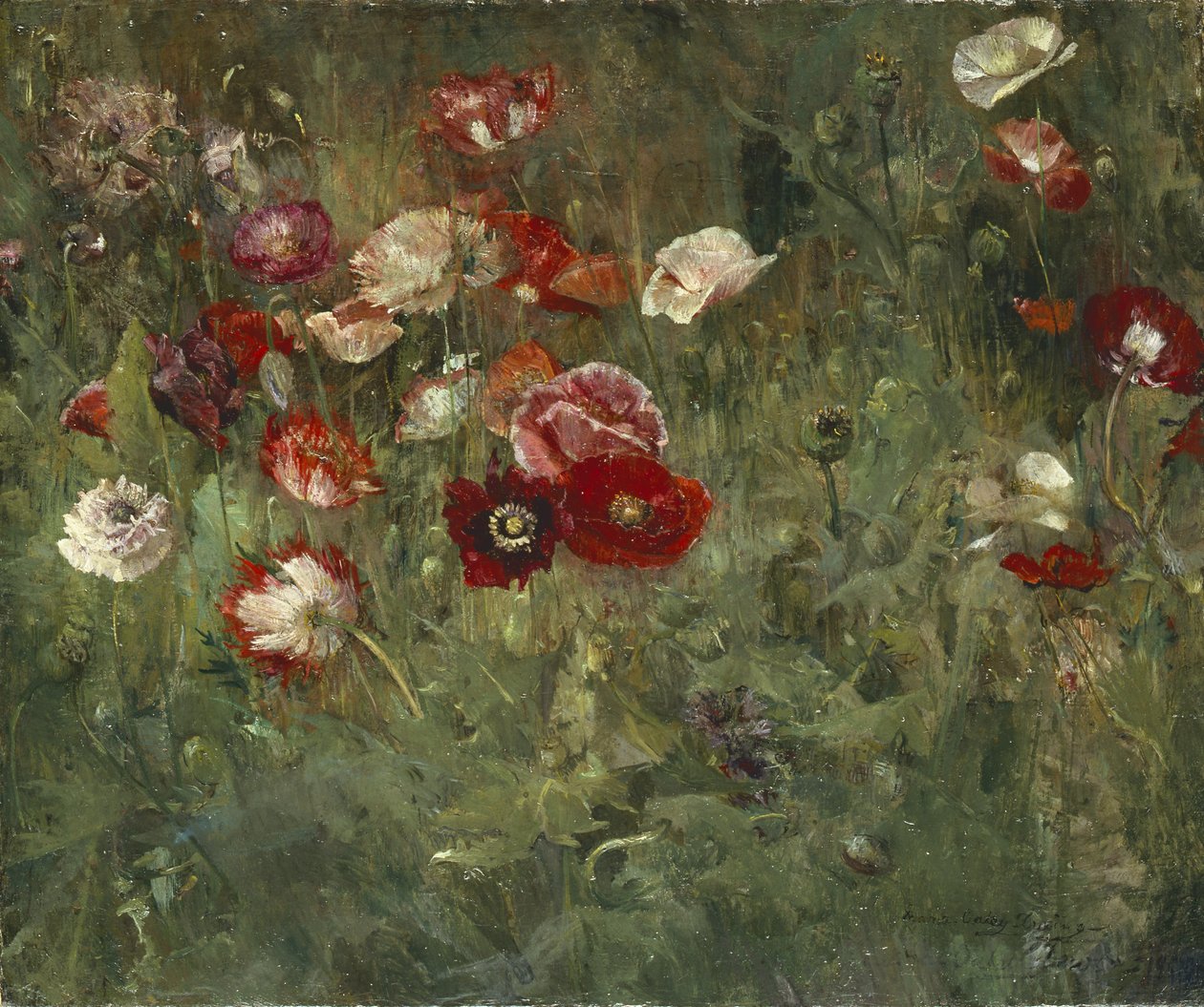 Unikkosänky, 1909 tekijältä Maria Oakey Dewing