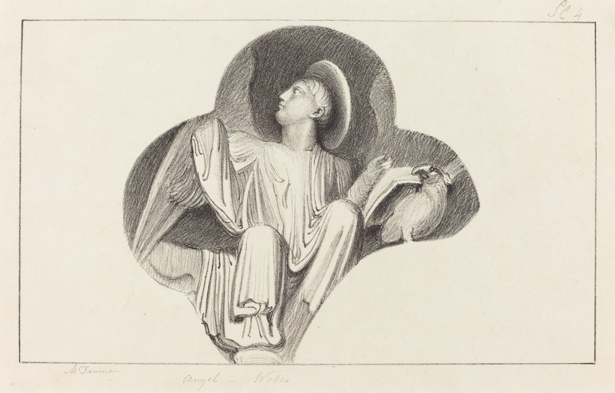 Enkeli Wellsin katedraalista tekijältä Maria Denman after John Flaxman