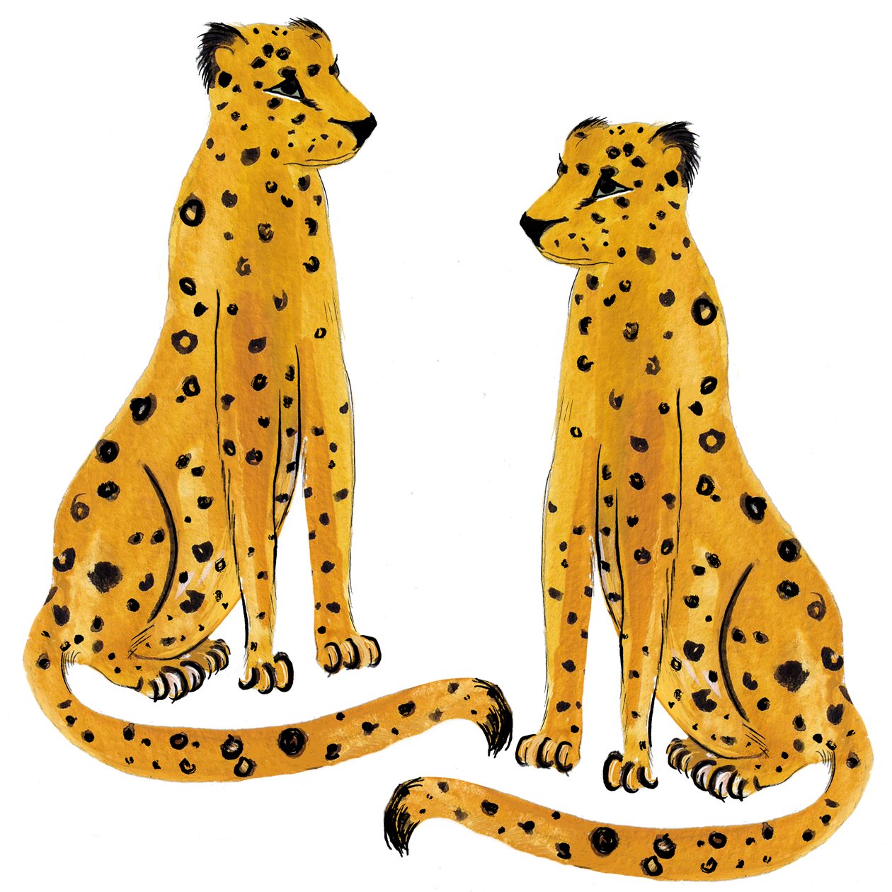 Leopardipari, 2020 tekijältä Marianna Kulukundis