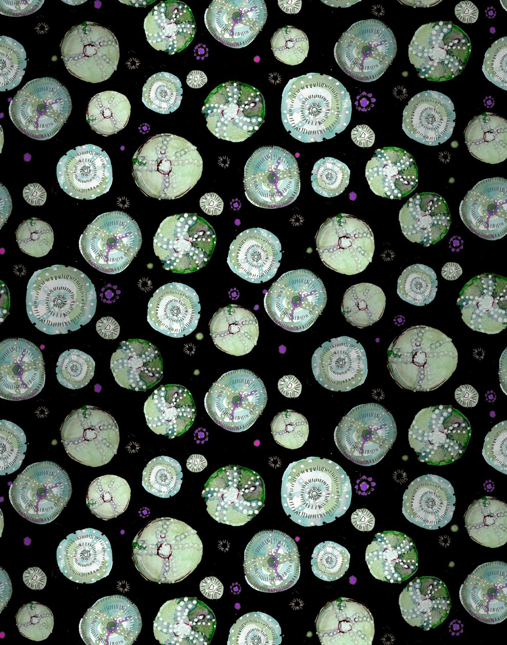 Sea Urchin Black, 2020 (akvarelli paperille) tekijältä Marianna Kulukundis