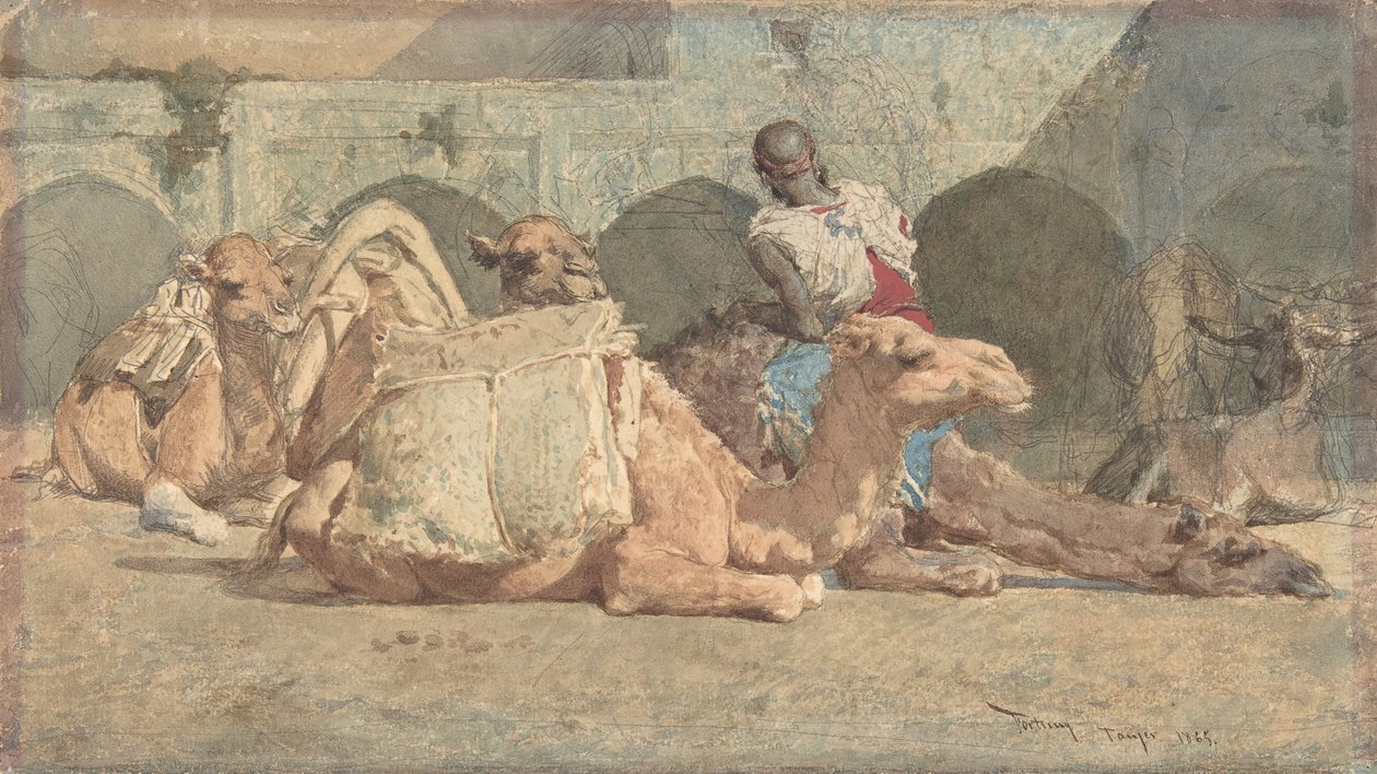 Kamelit lepäämässä, Tanger, n. 1854-74. tekijältä Mariano José María Bernardo Fortuny y Carbó