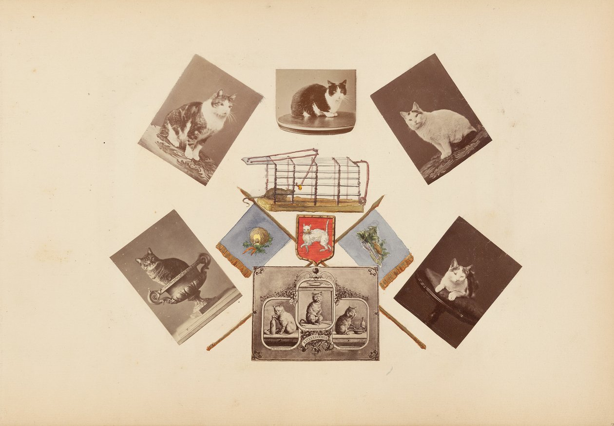 Madame B -albumi tekijältä Marie Blanche Hennelle Fournier