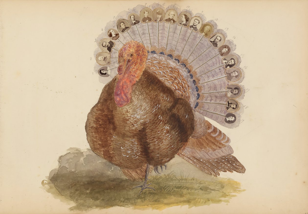The Madame B -albumi, 1870-luku. tekijältä Marie Blanche Hennelle Fournier