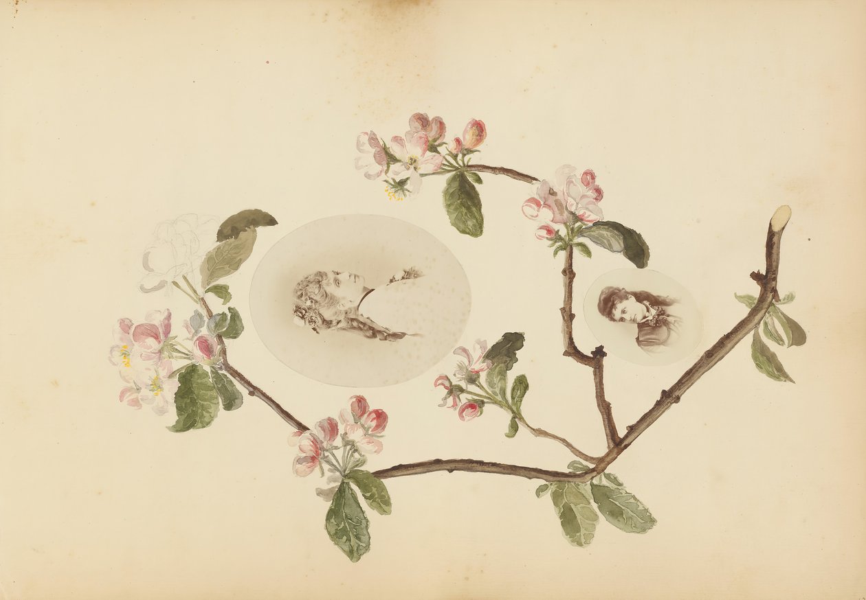 The Madame B -albumi, 1870-luku. tekijältä Marie Blanche Hennelle Fournier