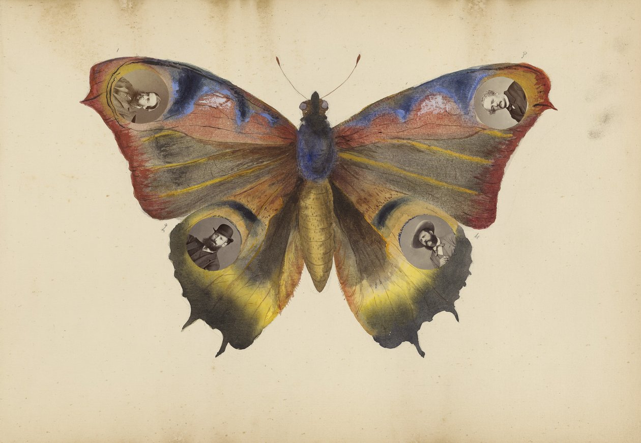 The Madame B -albumi, 1870-luku tekijältä Marie Blanche Hennelle Fournier