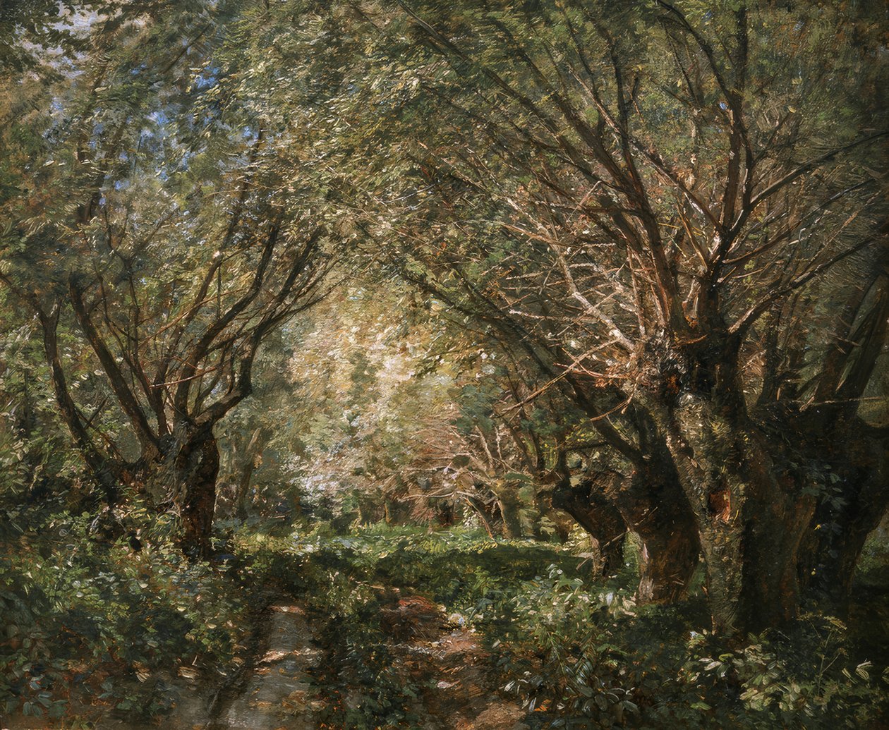 Weidenallee Stillfried an der Marchissa tekijältä Marie Egner