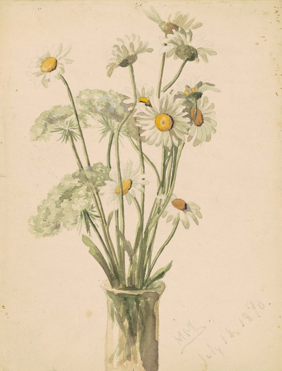 Päiväkakkarat ja kuningatar Annen pitsi maljakossa, 1890 (akvarelli ja grafiitti kudospaperille) tekijältä Marietta Minnegerode Andrews