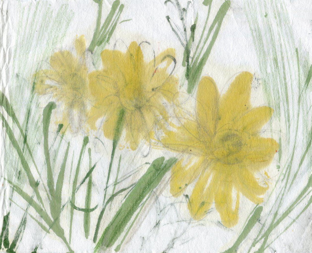 Daisies, 2020 (sekatekniikka paperille) tekijältä Marina Falco
