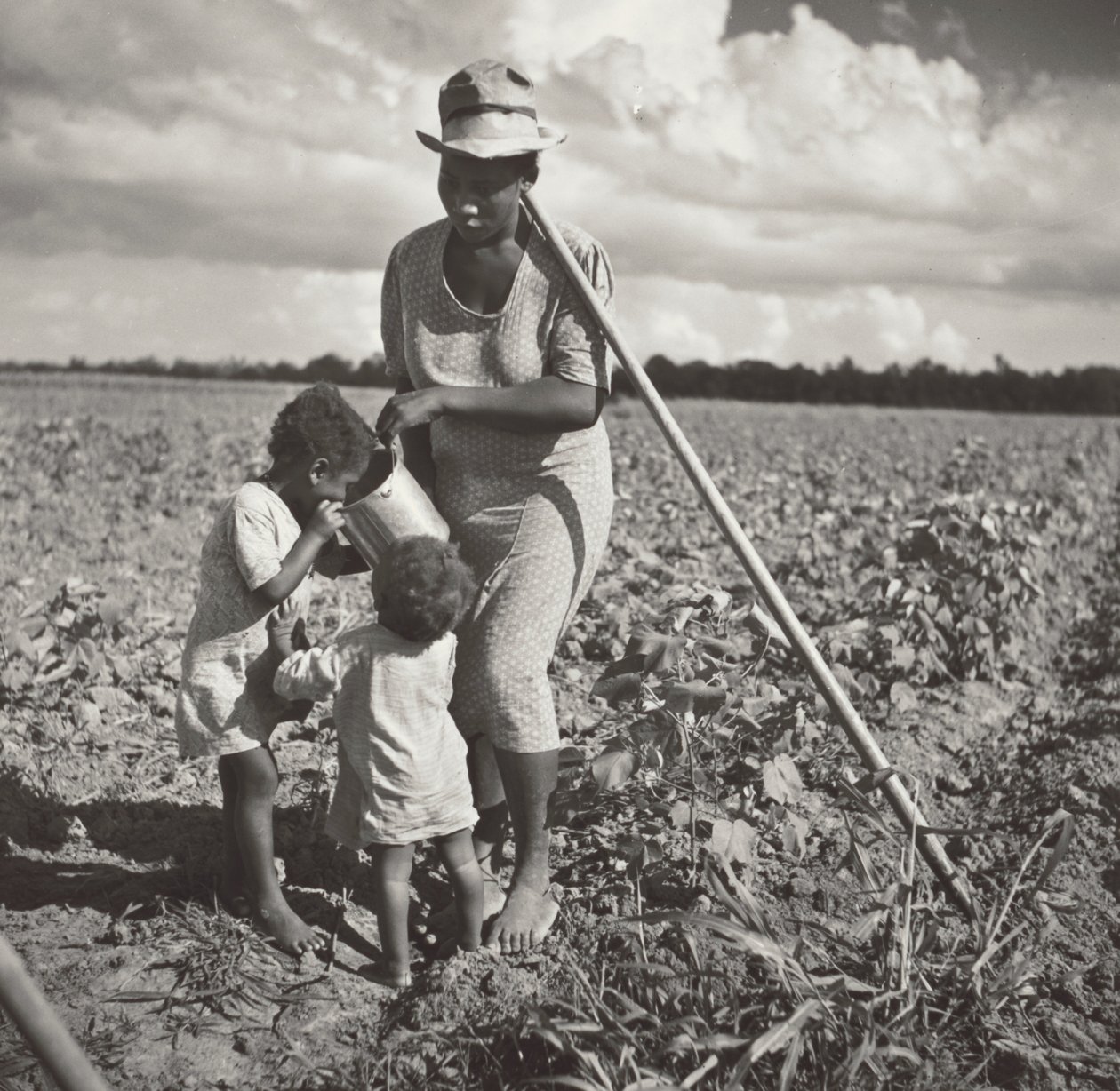 Musta nainen antaa lapsilleen juotavaa pellolla, jossa hän niittää puuvillaa FSA:n osuustoimintaprojektissa (Allen Plantation). tekijältä Marion Post Wolcott