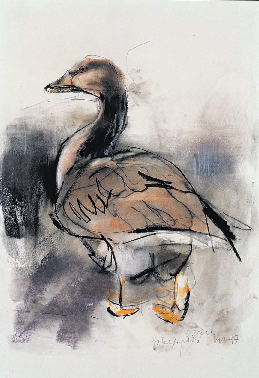 Spitalfields Goose, 1997 (grafiitti ja conte paperilla) tekijältä Mark Adlington
