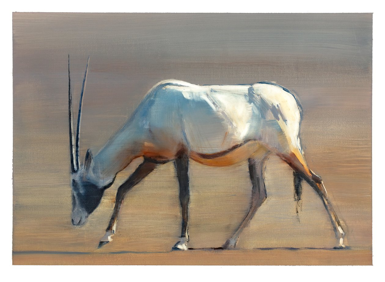 Arabian Oryx, 2010 (öljy paperille) tekijältä Mark Adlington