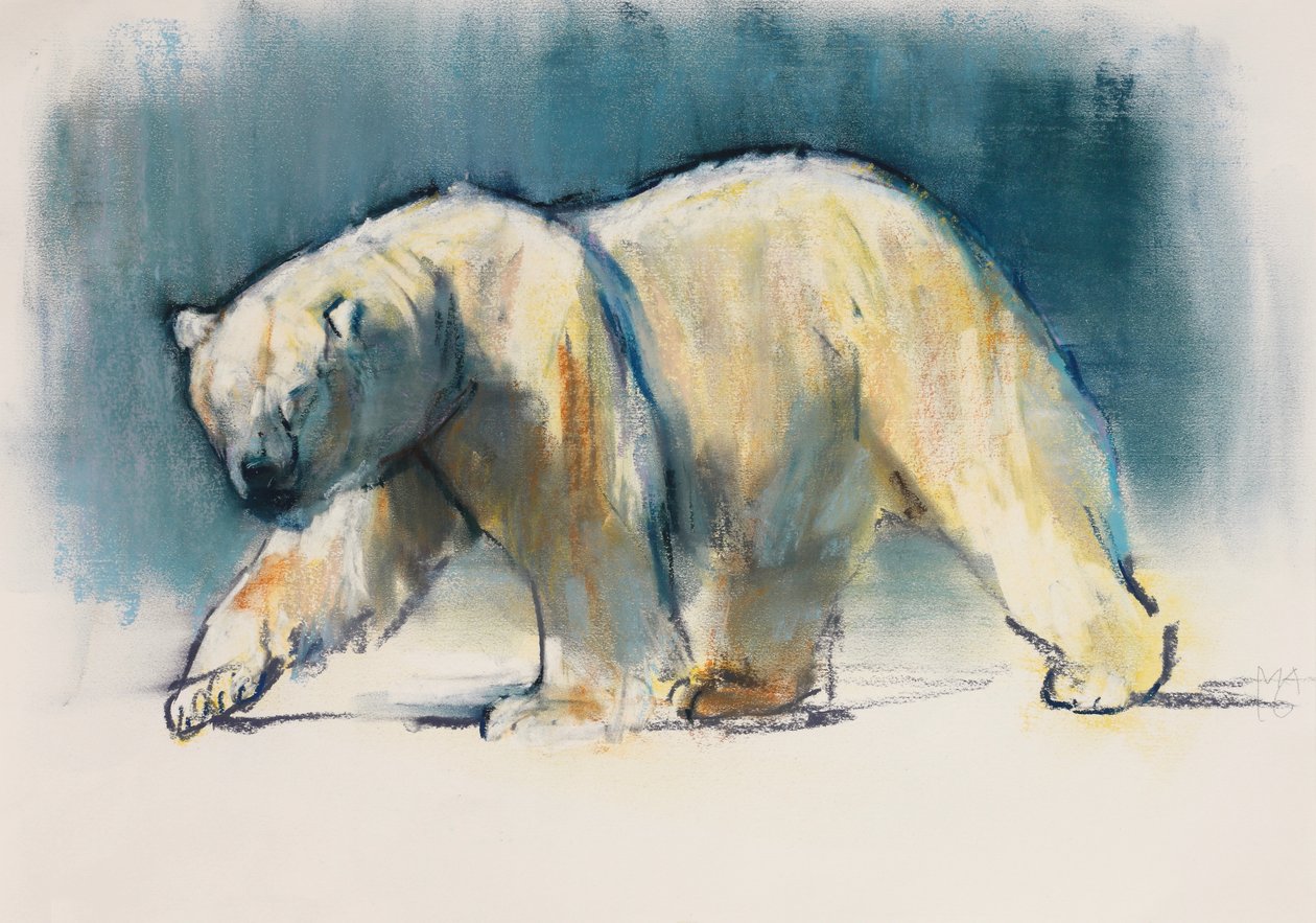 Arctic Light, 2017 tekijältä Mark Adlington