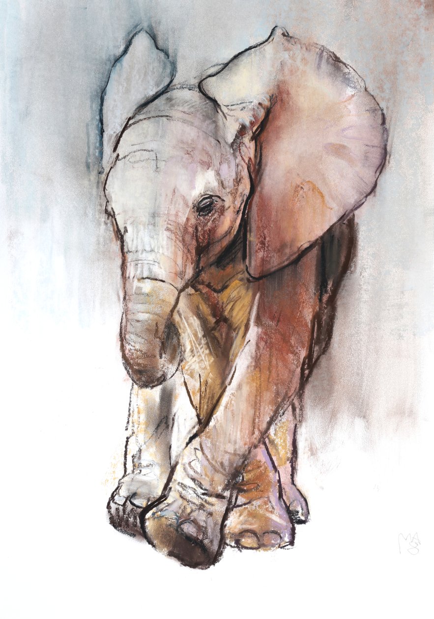Baby Elephant 2, Loisaba, 2018 tekijältä Mark Adlington