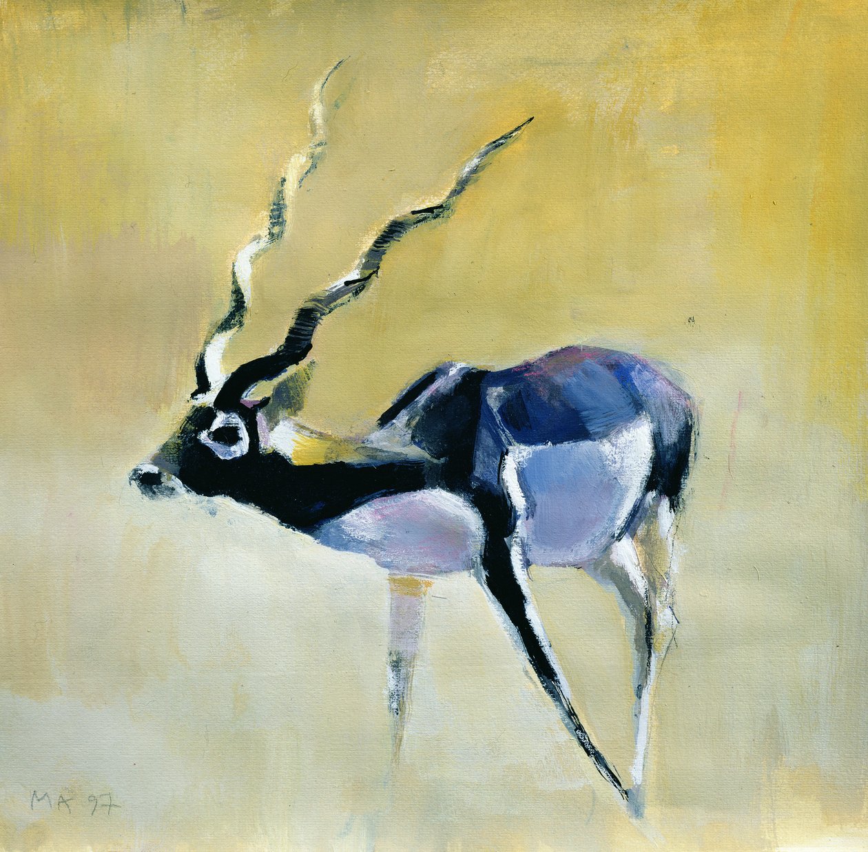 Black Buck, Velavadar, 1997 (sekoitettu media paperille) tekijältä Mark Adlington
