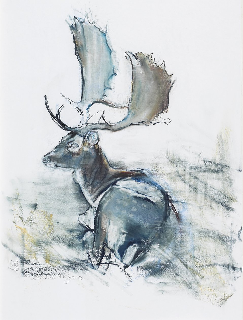 Buck in the Grass, 2006 (hiili ja conte paperille). tekijältä Mark Adlington