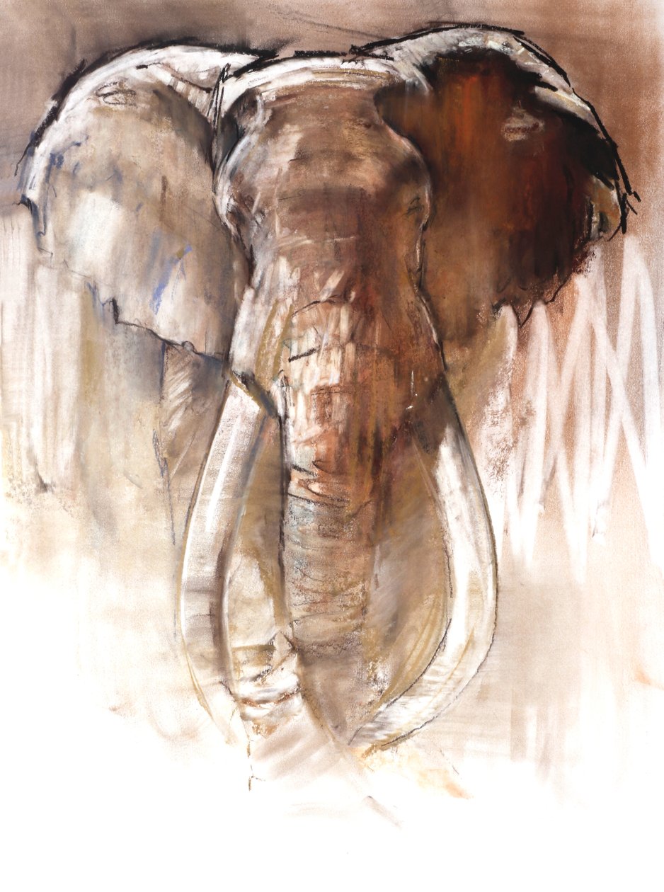 Bull Elephant, 2018 tekijältä Mark Adlington