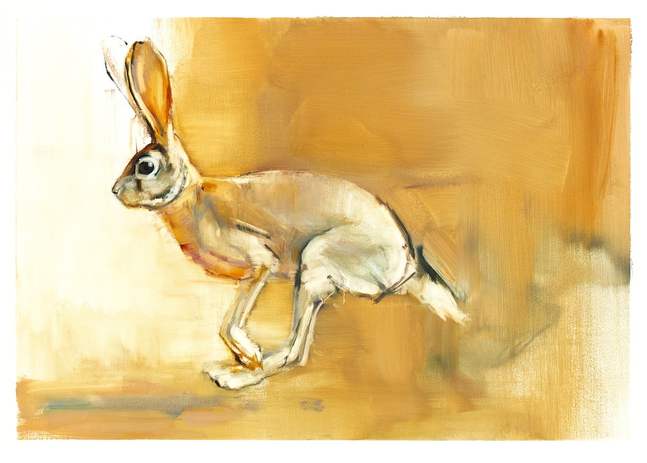 Cape Hare, 2010 (öljy paperille) tekijältä Mark Adlington