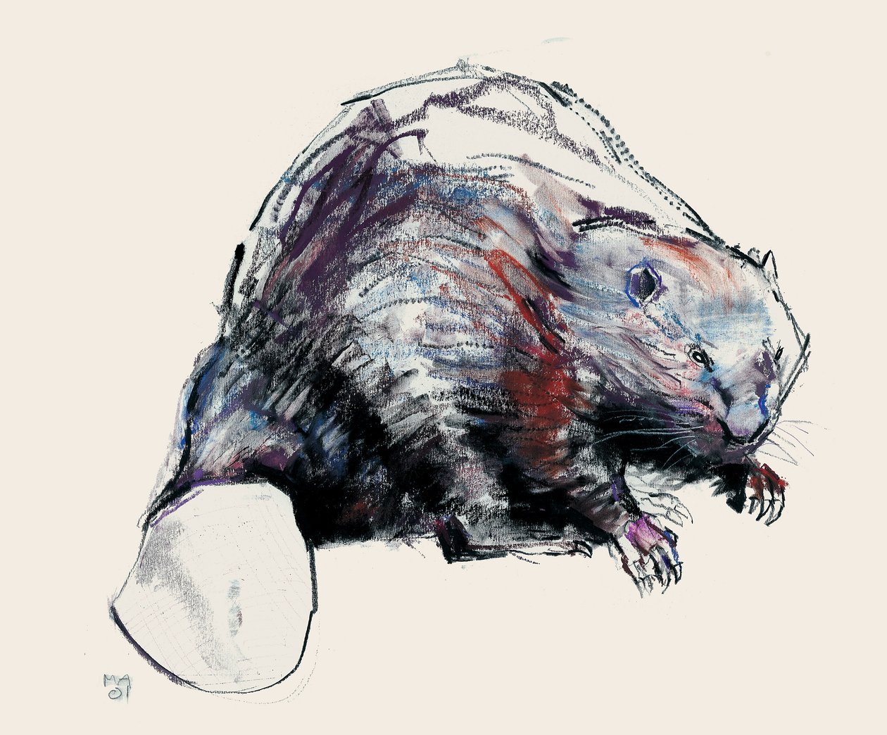 Castor Fiber, 2001 (hiili ja conte paperilla) tekijältä Mark Adlington
