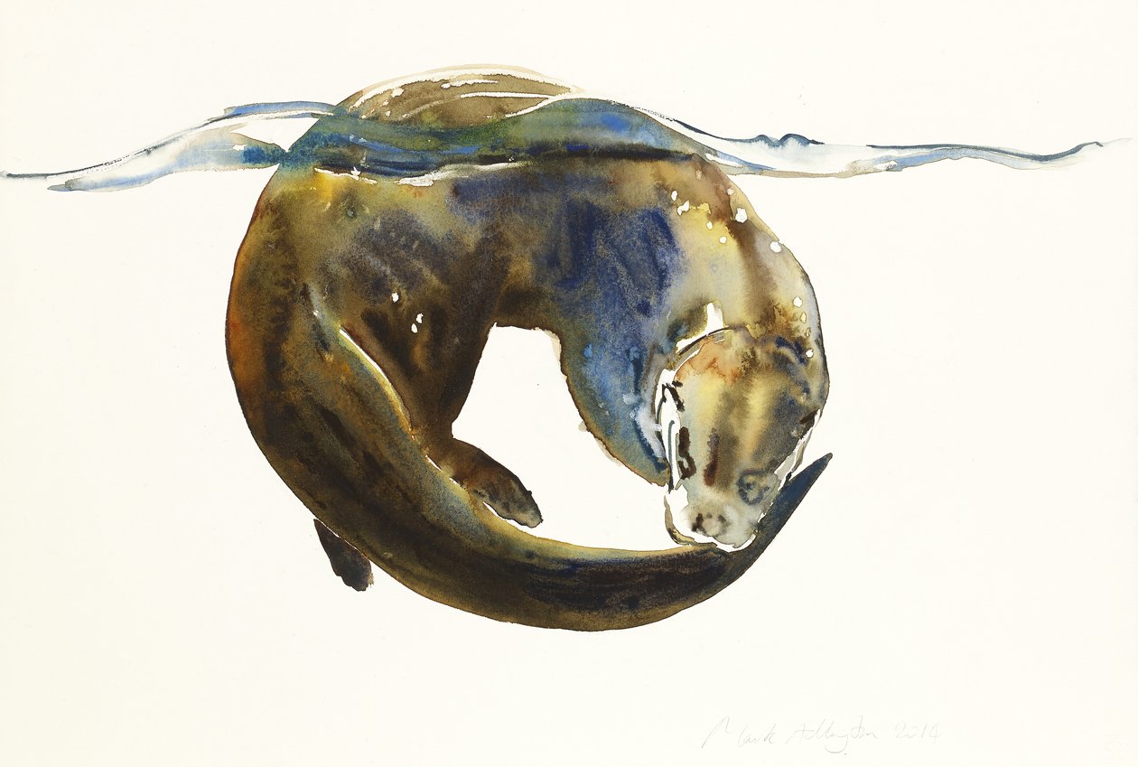 Elämän ympyrä, 2014, (akvarelli paperille) tekijältä Mark Adlington