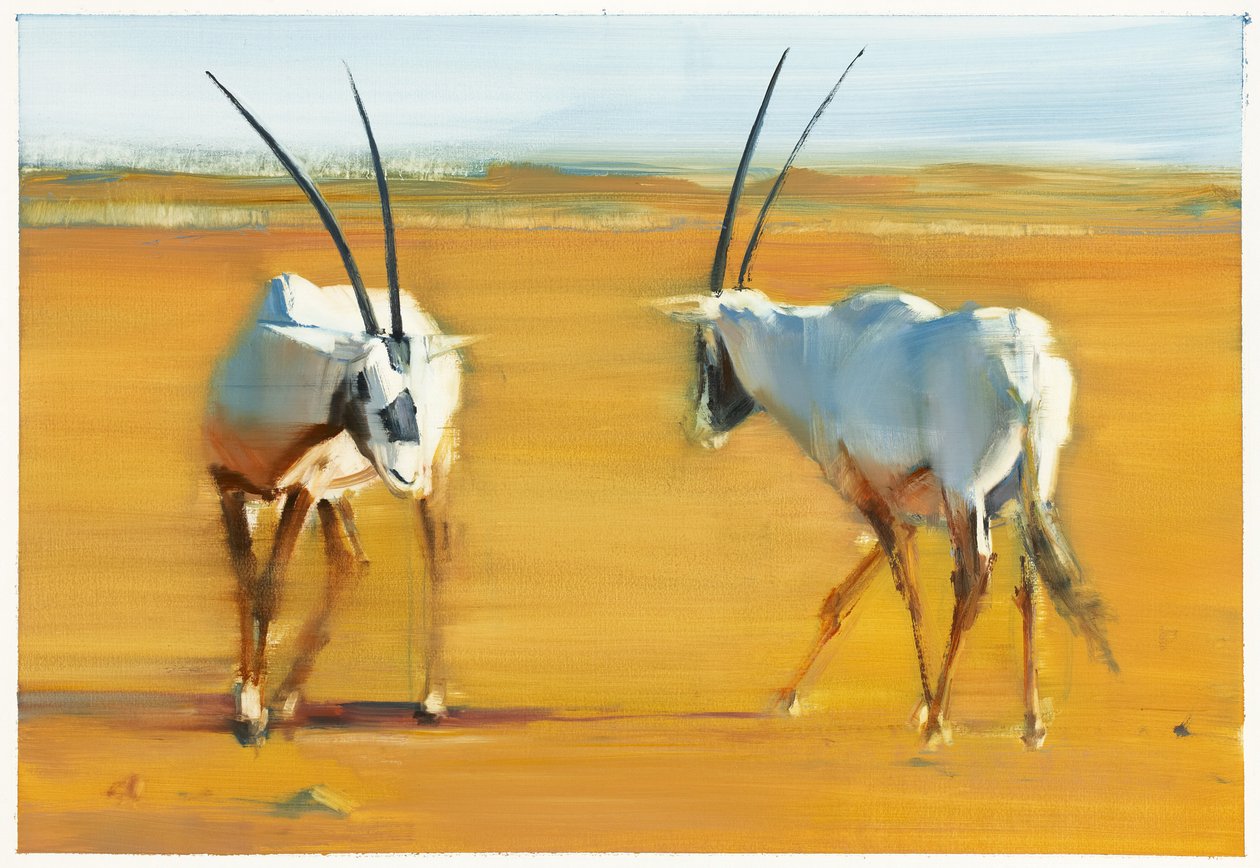 Circling Arabian Oryx, 2010 (öljy paperille) tekijältä Mark Adlington