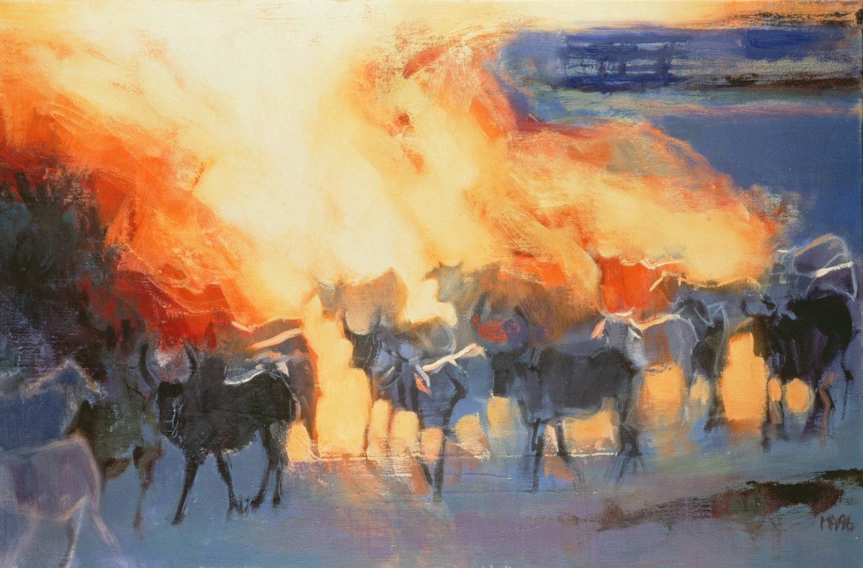 Pölypilvi, Drung, 1996 tekijältä Mark Adlington