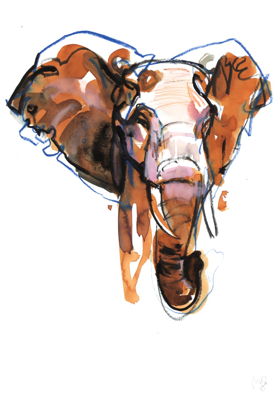 Elephant Head -tutkimus, 2018 tekijältä Mark Adlington