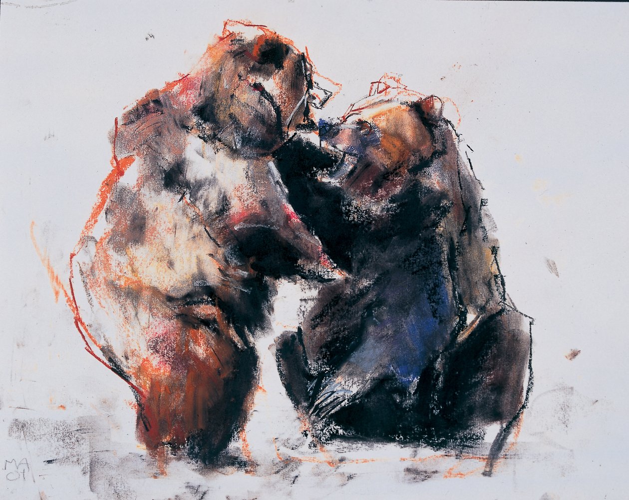 European Brown Bears, 2001 (hiili ja conte paperilla) tekijältä Mark Adlington