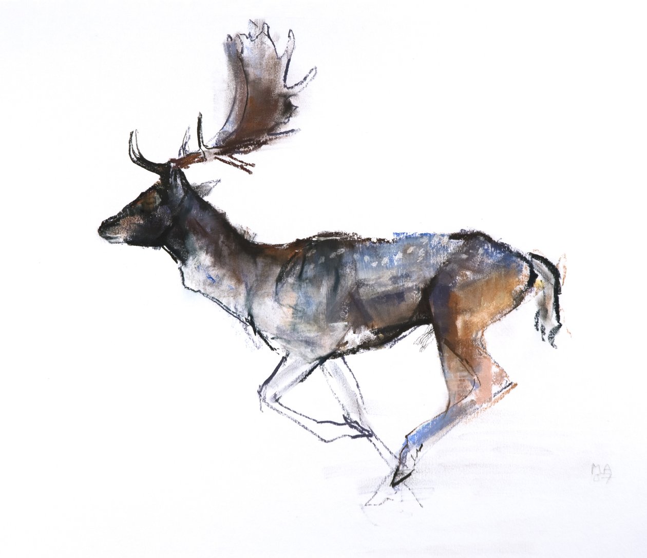 Evening Buck (kuussapeura), 2007, (pastelli ja conté paperilla) tekijältä Mark Adlington