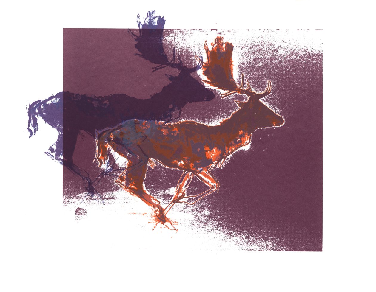 Fallow Bucks (orangelilac), 2015, (silkkipaino) tekijältä Mark Adlington