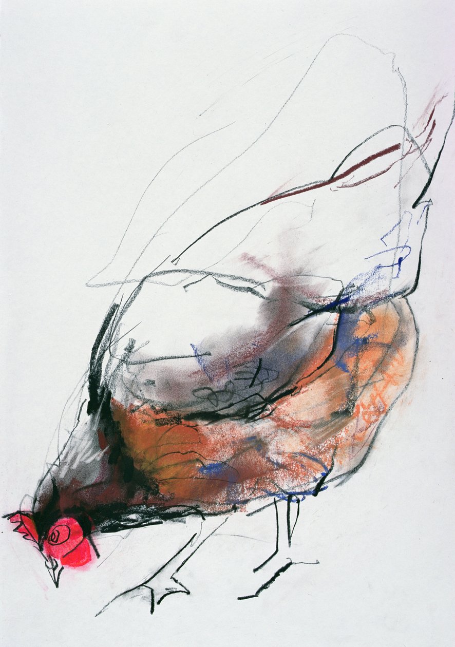 Feeding Hen, Trasierra, 1998 (grafiitti, konte ja puuhiili paperilla) tekijältä Mark Adlington