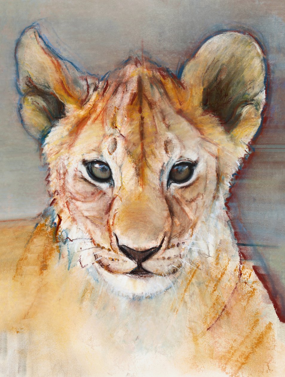 Kova pentu, Masai Mara, 2019 tekijältä Mark Adlington