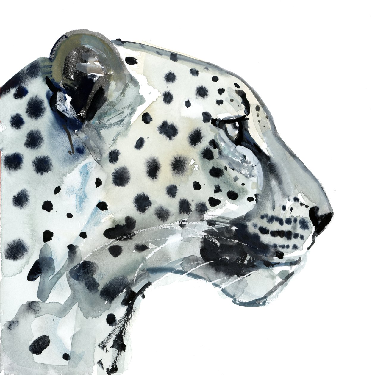 Focus, 2015, (akvarelli paperille) tekijältä Mark Adlington