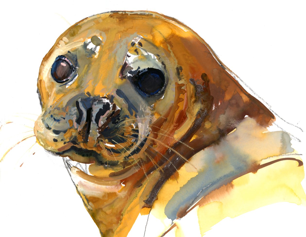 Ginger Pup, Westcove, 2023 tekijältä Mark Adlington