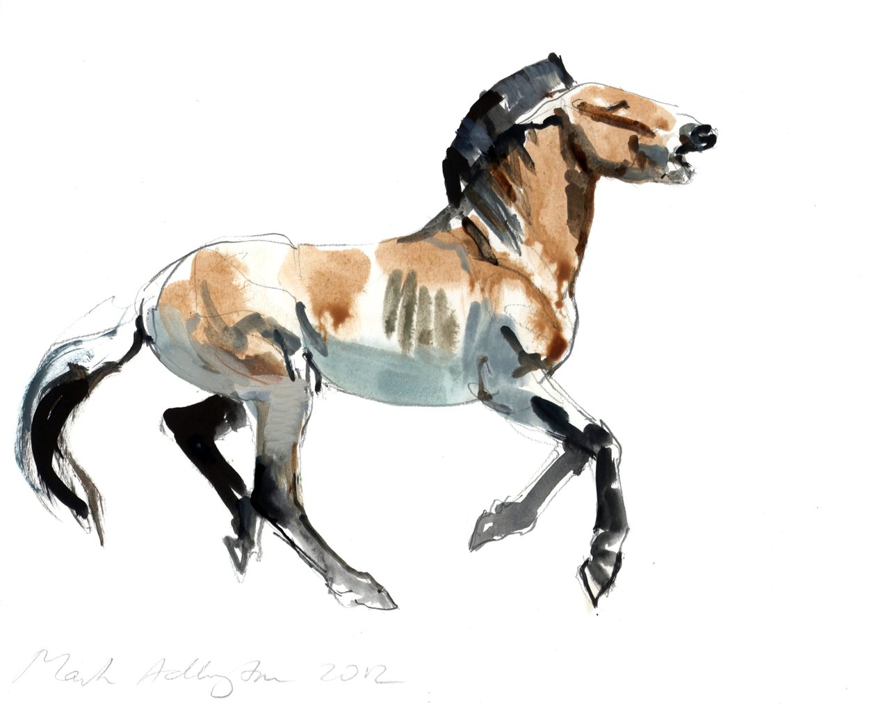 Kreikkalainen (Przewalski), 2012, (sekatekniikka paperille) tekijältä Mark Adlington
