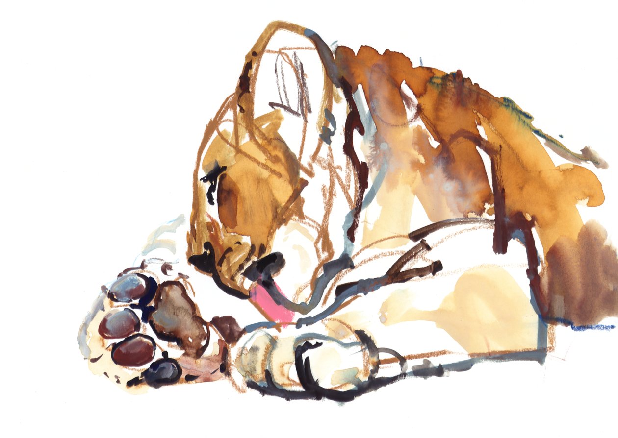Grooming Cub, 2019 tekijältä Mark Adlington