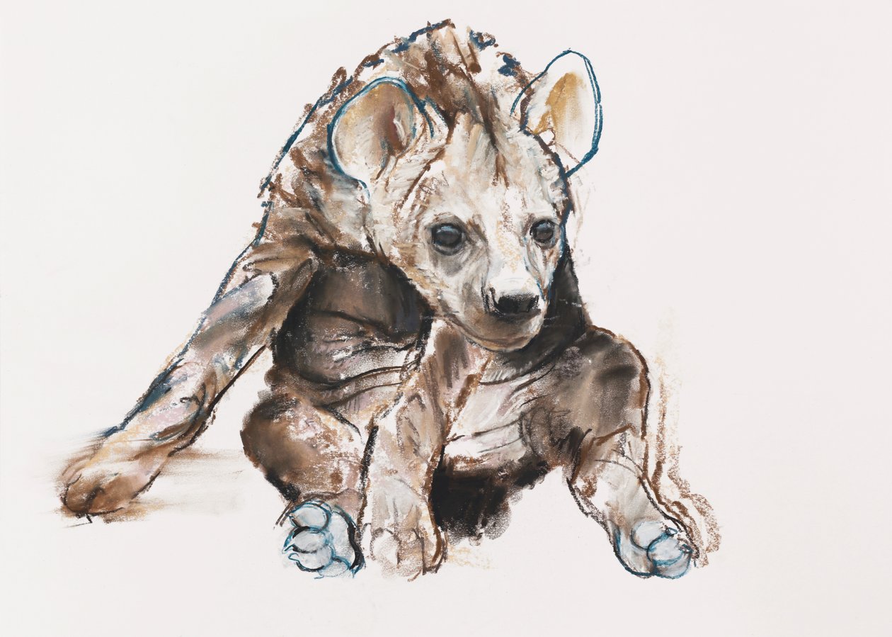 Hyaena Pupp (pää alaspäin), 2019 tekijältä Mark Adlington