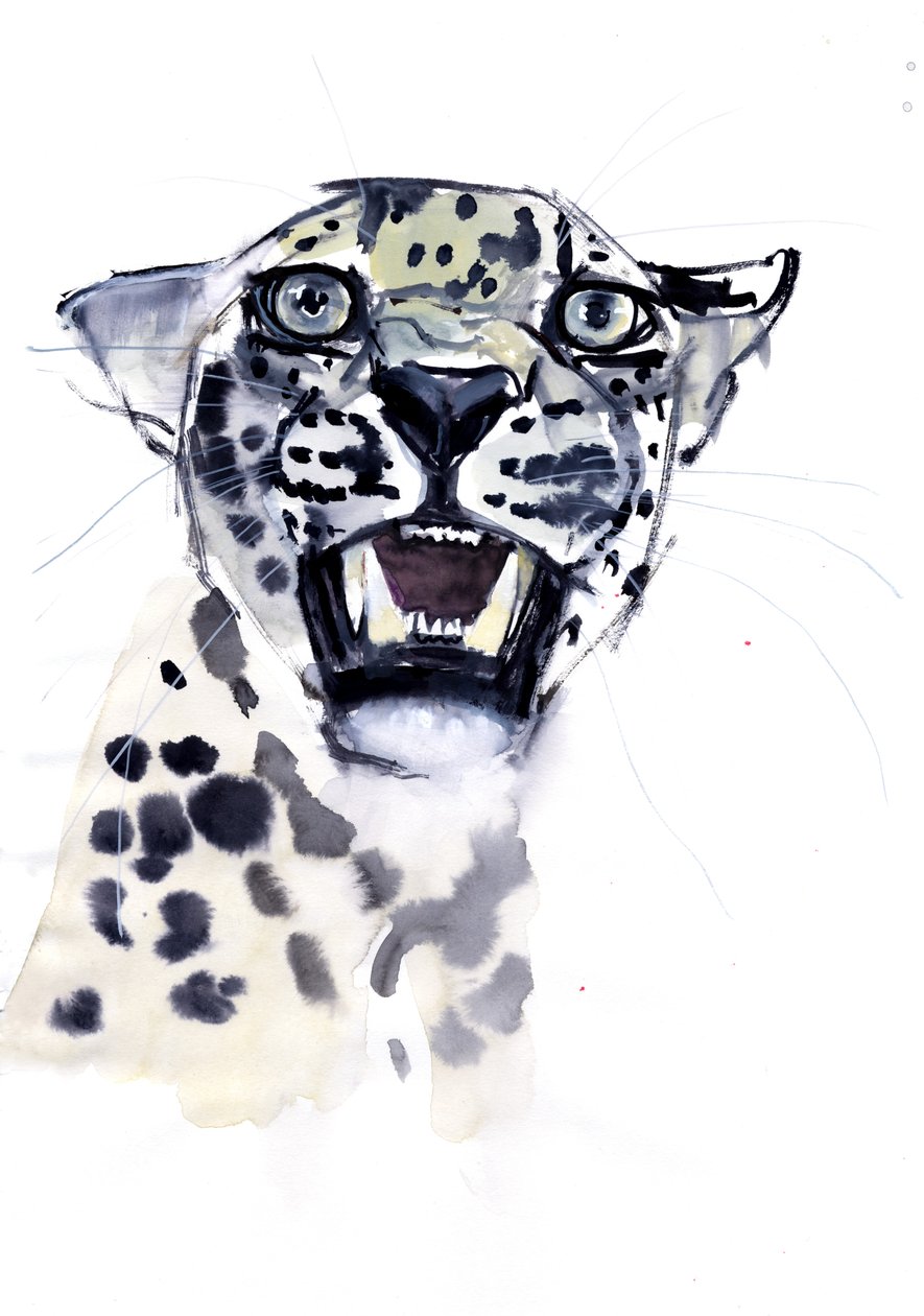 Incisor Snarl (Arabian Leopard), 2008 tekijältä Mark Adlington